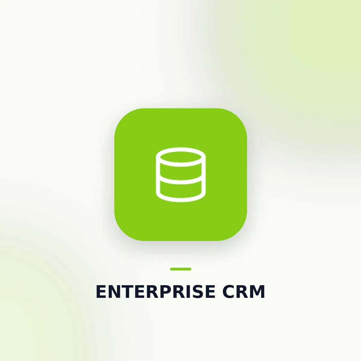 Enterprise CRM