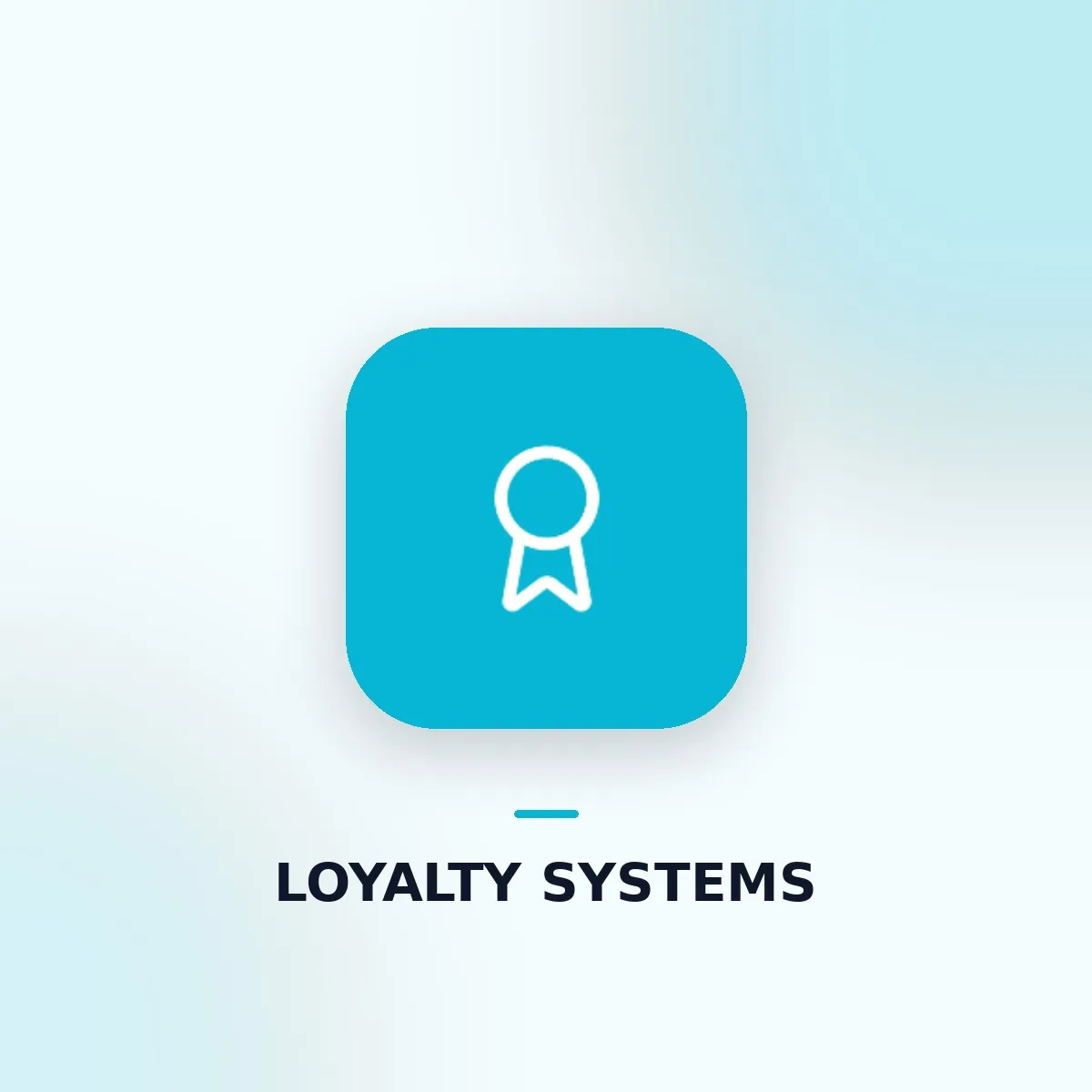 Loyalty Systems